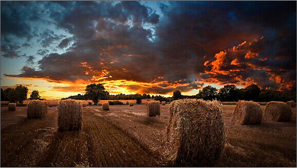 MONITOR SAMSUNG VM55B-U PER VIDEOWALL 55