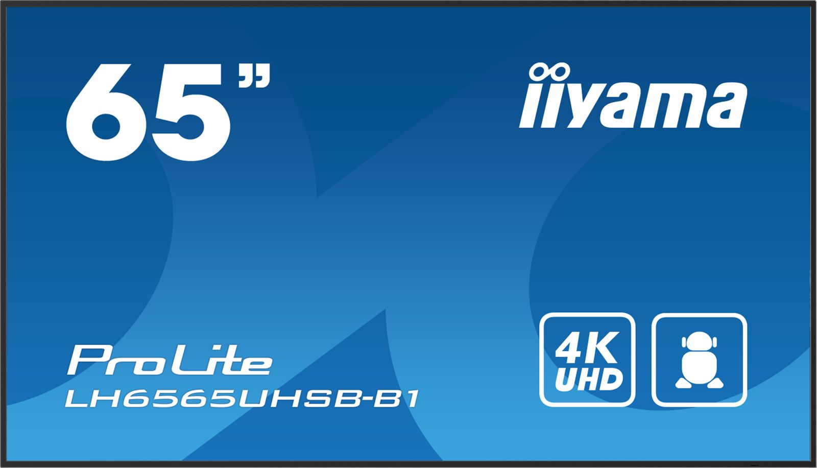 iiyama ProLite LH6565UHSB-B1 Display Professionale 65" 4K UHD 800 cd/m²