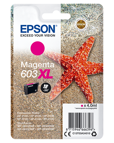 EPSON CARTUCCIA STELLA MARINA XL MAGENTA INKJET ALTA CAPACITA C13T03A34010 NO BLISTER